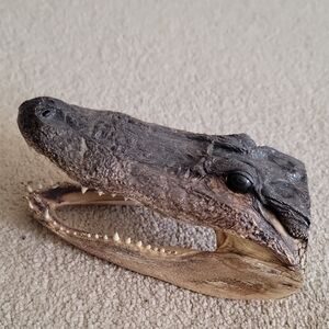 Realistic Reptile Skull Decor